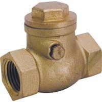 Pro Line Swing Check Valve- 3/4"
