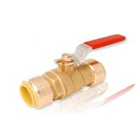 Pro Line Series 7690F Ball Valve- 3/4"