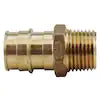 Apollo PEX-A Male Adapter - 1" x 3/4"