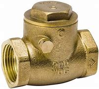 Pro Line Swing Check Valve- 1/2"