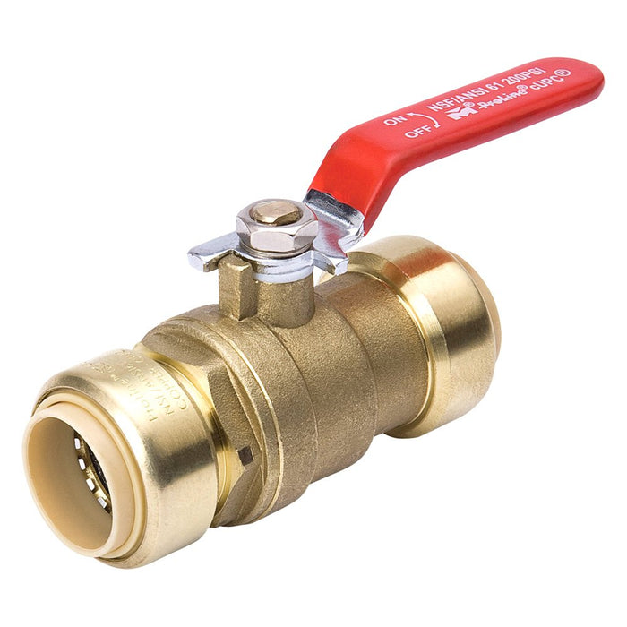 Pro Line Series 7690PF Ball Valve